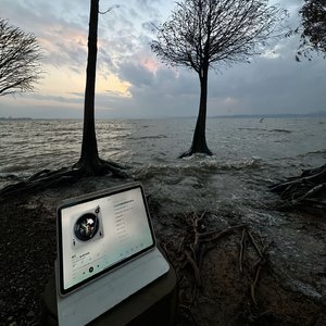 我知道你不爱我（DJ）