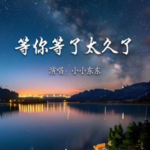 等你等了太久了