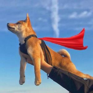 DJ一响 全场最嗨