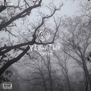 Разбитый вид