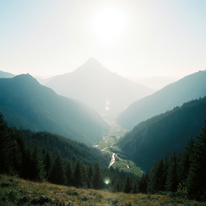 Ти не м’ята