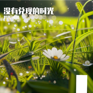 最柔软的伤 - 没兑现的时光