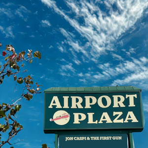 Your Sister Flies (feat. Dan Bern)