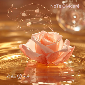 No Te Olvidaré