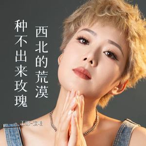 西北的荒漠种不出来玫瑰 (DJ阿能版)