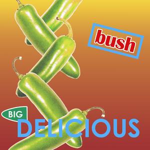 Bush