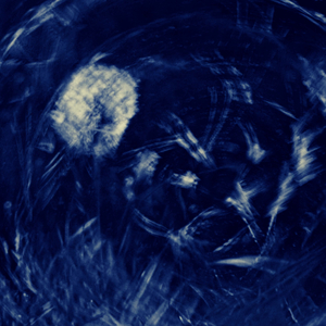Sludgy Elevation