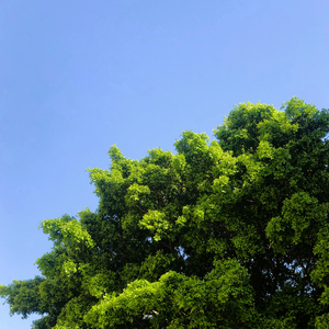 고요가 나를 찾아오면