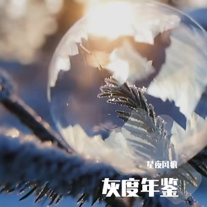 灰度年鉴