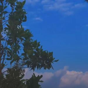 马良-醒着醉（柒川南 remix）