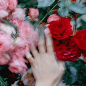 1월의 마지막 밤