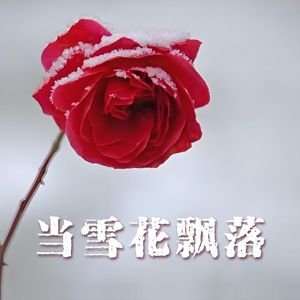 当雪花飘落