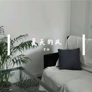 夏天的风