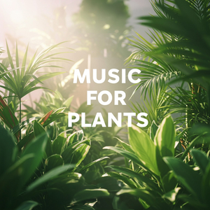 Plant Growth Music