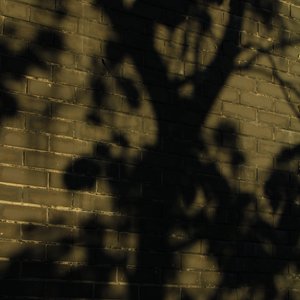 阿拉斯加海湾（cover 菲道尔 ）