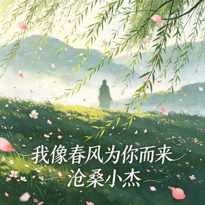 我像春风为你而来