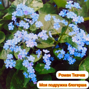 Моя подружка блогерша