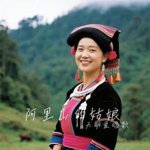 阿里山的姑娘（Cover 大头针）