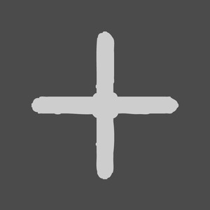 Von Neumann Replicator