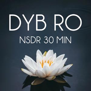 NSDR 30 min - del 1 (Meditation)