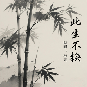 此生不换