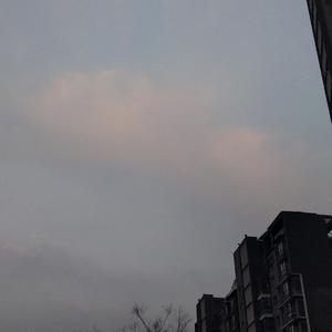 中间人【片段】