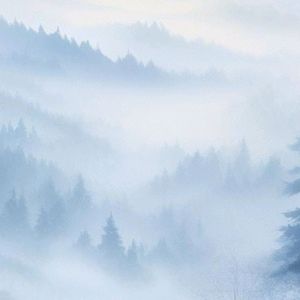 雾（Prod.Gr33nart beats）