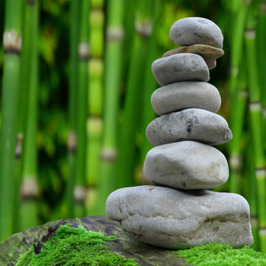 Lay Back (Sea Sound)