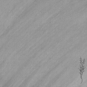 CODE: 18 (Reverse Version)