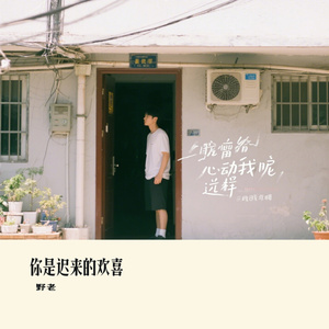 你是迟来的欢喜