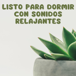 Comodidades Acogedoras