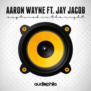 Captured In The Night (Vocal Mix)