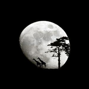 群星-小河淌水（DJ阿超 2019 Rmx)咚鼓（DJ阿超 remix）