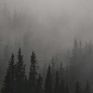 where did you sleep last night? - Cover (from a girl's perspective version)