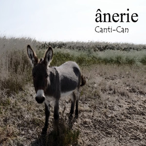 ânerie