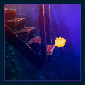 Bees and Apple Trees