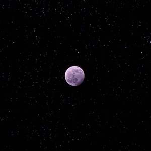 爱呢（翻自：S.H.E.）