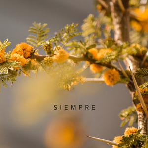 Siempre