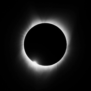 无情自述（Prod.by FakeBlood）