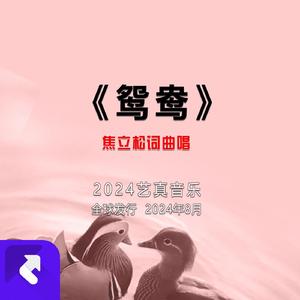 鸳鸯 (现场)