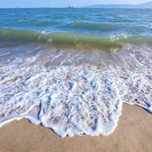 厦门的海