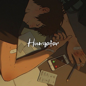 Humsafar (Lo-Fi)