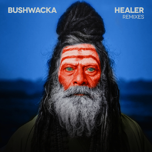 Healer (Bushwacka! Remix)