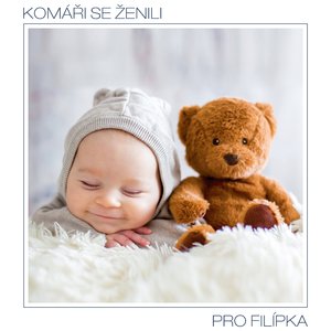Komáři se ženili