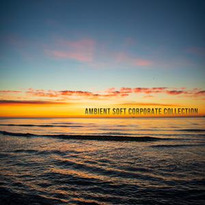 Ambient Chillout Corporation