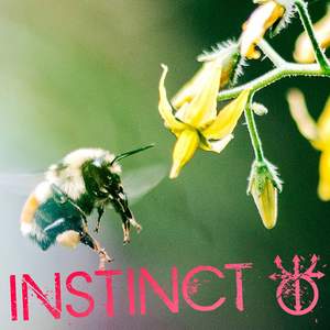 Instinct