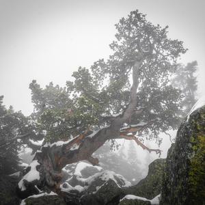 两个人（prod.Furyl\4-Chords）