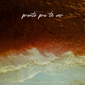 Pronto pra Te Ver (Kaynan Remix)