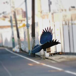 最後の私（COVER BY 神宮寺酔っ払い）