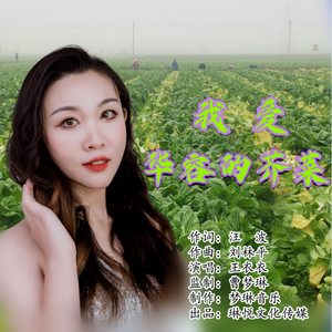 我爱华容的芥菜